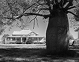 Richard  Stringer / Australia b.1936 / House, Roma 1982, printed 1987 / Gelatin silver photograph on paper / Purchased 1987 / Collection: Queensland Art Gallery