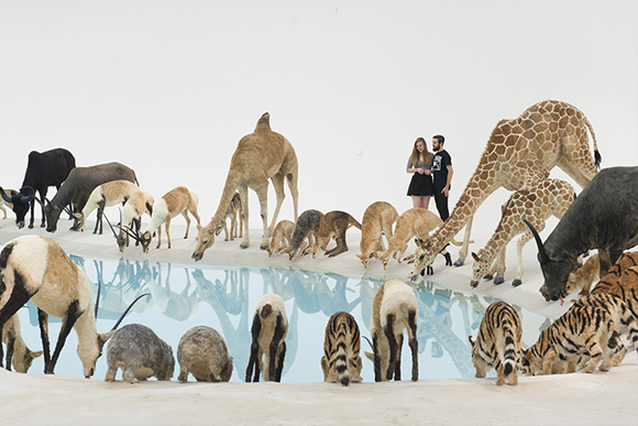 Installation view of 'Cai Guo-Qiang: Falling Back to Earth' at GOMA, November 2013 / Photograph: QAGOMA Photography